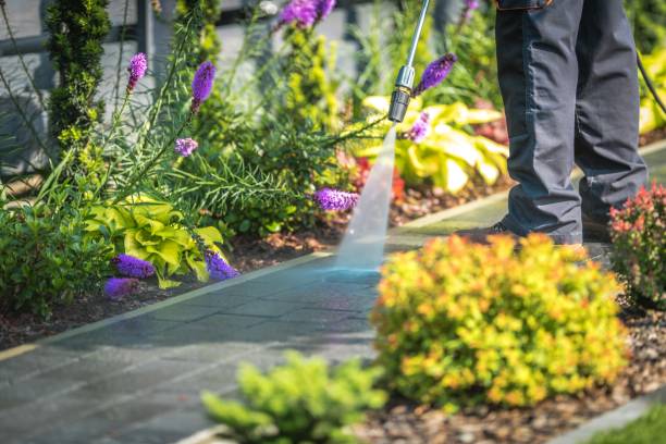 Best Gutter Cleaning  in Morristown, IN