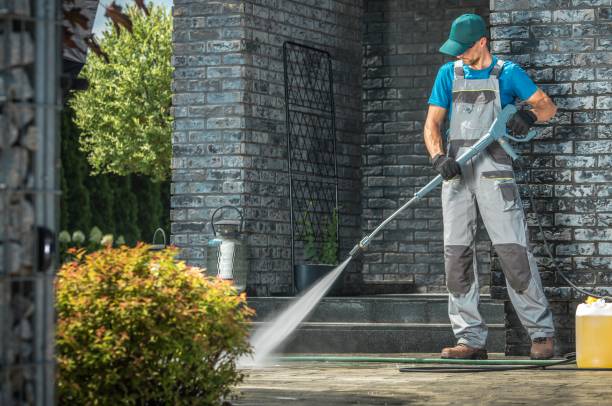 Best Animal Enclosure Cleaning  in Morristown, IN